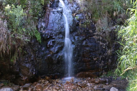Self-Guided Waterfall Gully To Mount Lofty Hike From Adelaide - Sunshine Coast Tourism 5