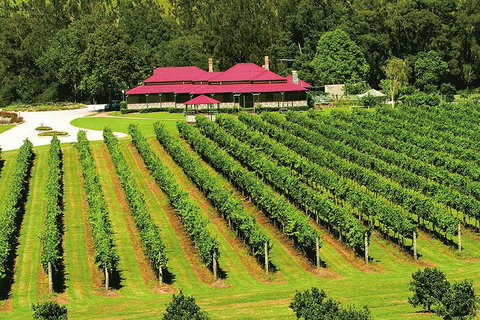 O'Reilly's & Lamington National Park From Brisbane - Holiday Sunshine Coast 2