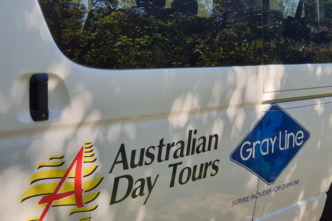 Natural Bridge Glow Worm Night Tour From Gold Coast - Sunshine Coast Tourism 5