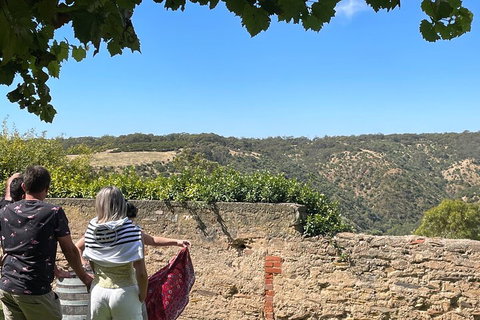 Private Mclaren Vale Wine Tour - Sunshine Coast Tourism 2