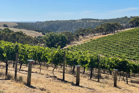 Private Mclaren Vale Wine Tour - Sunshine Coast Tourism 3