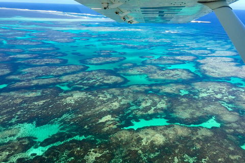 Shipwreck Special Full Day Tour Of The Abrolhos Islands - Sunshine Coast Tourism 1