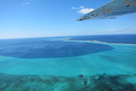 Shipwreck Special Full Day Tour Of The Abrolhos Islands - Sunshine Coast Tourism 2