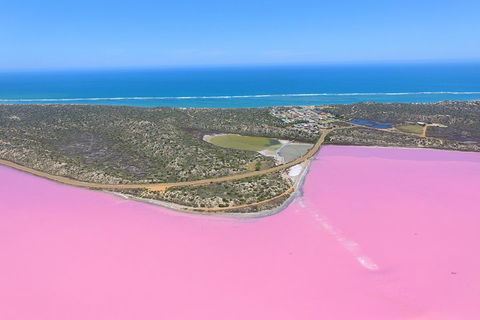Pink Lake + Abrolhos Islands Nature Tour - Sunshine Coast Tourism 4
