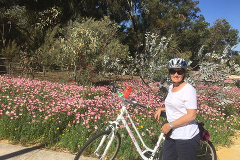 Perth Bike Tour - Beautiful Matilda Bay And Kings Park - Sunshine Coast Tourism 1