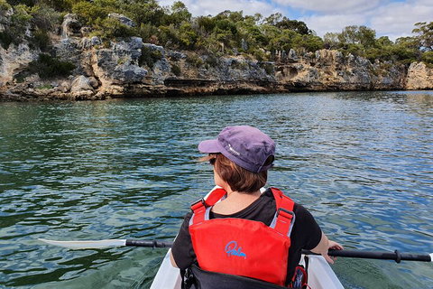 Cliffs And Caves Kayak Tour In Swan River - Holiday Sunshine Coast 0