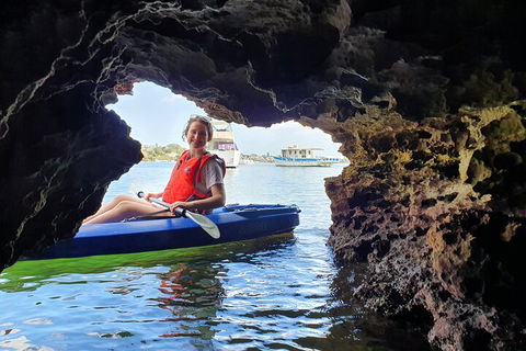 Cliffs And Caves Kayak Tour In Swan River - Holiday Sunshine Coast 1