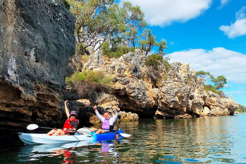 Cliffs And Caves Kayak Tour In Swan River - Holiday Sunshine Coast 3