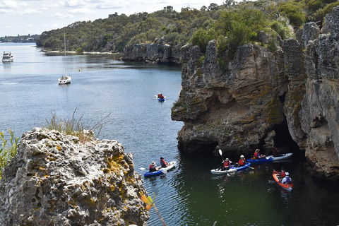Cliffs And Caves Kayak Tour In Swan River - Holiday Sunshine Coast 5