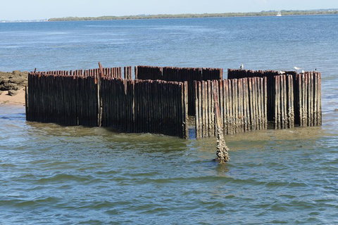Best Of Moreton Bay Cruise - Sunshine Coast Tourism 1