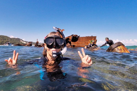 Best Of Moreton Bay Cruise - Sunshine Coast Tourism 4