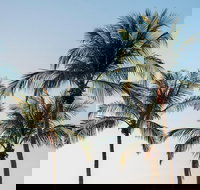 Darwin City Sightseeing Tour - Sunshine Coast Tourism