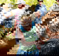 Tiwi Islands Cultural Experience from Darwin Including Ferry - Sunshine Coast Tourism