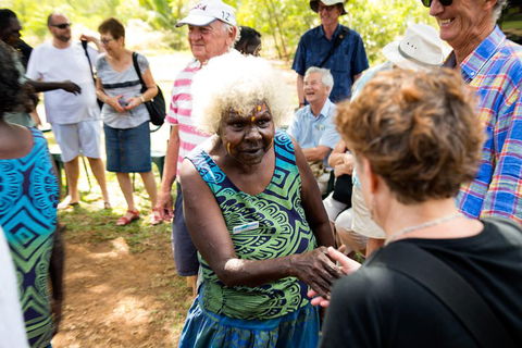 Tiwi Islands Cultural Experience From Darwin Including Ferry - Sunshine Coast Tourism 0