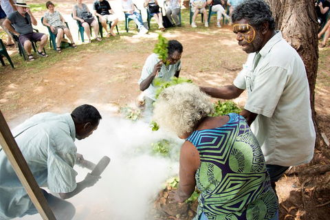 Tiwi Islands Cultural Experience From Darwin Including Ferry - Sunshine Coast Tourism 4