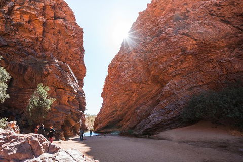 West MacDonnell Ranges- Half Day Trip From Alice Springs - Sunshine Coast Tourism 0
