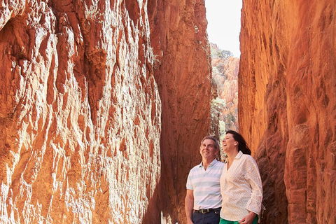 West MacDonnell Ranges- Half Day Trip From Alice Springs - Sunshine Coast Tourism 2