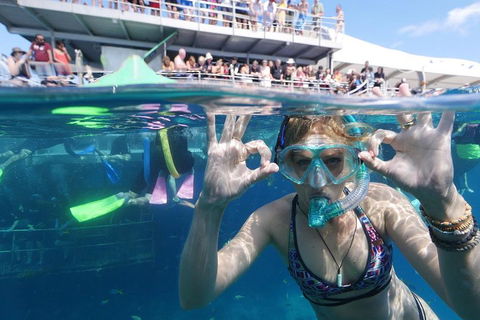 Great Barrier Reef Day Cruise From Cairns Including Snorkeling And Marine Biologist Presentation - Sunshine Coast Tourism 0