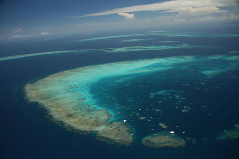 Great Barrier Reef Day Cruise From Cairns Including Snorkeling And Marine Biologist Presentation - Sunshine Coast Tourism 1