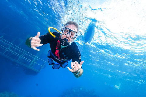 Great Barrier Reef Day Cruise From Cairns Including Snorkeling And Marine Biologist Presentation - Sunshine Coast Tourism 3