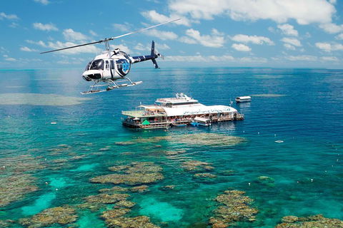 Great Barrier Reef Day Cruise From Cairns Including Snorkeling And Marine Biologist Presentation - Sunshine Coast Tourism 5