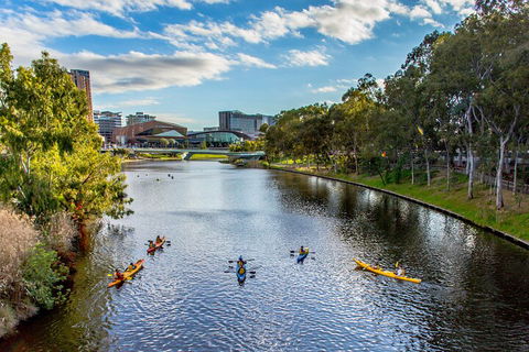 Adelaide City Kayak Tour - Holiday Sunshine Coast 0