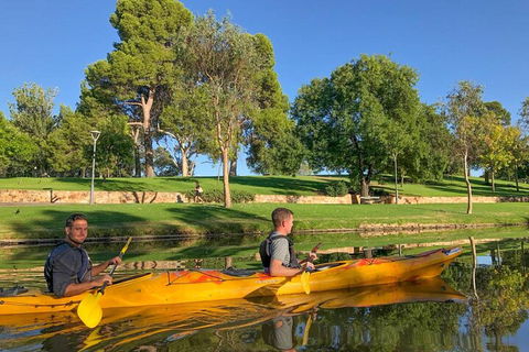 Adelaide City Kayak Tour - Holiday Sunshine Coast 4