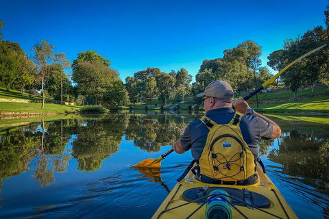 Adelaide City Kayak Tour - Holiday Sunshine Coast 5