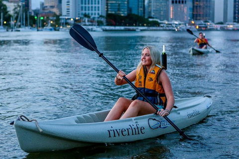 Brisbane Kayak Tour - Holiday Sunshine Coast 2