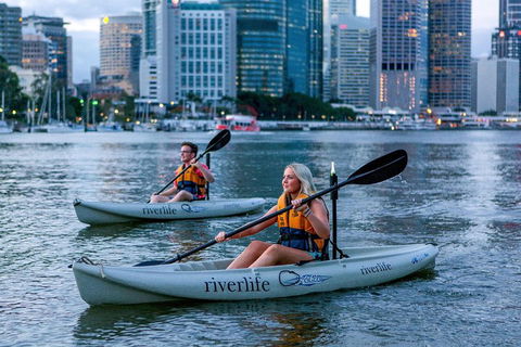 Brisbane Kayak Tour - Holiday Sunshine Coast 3