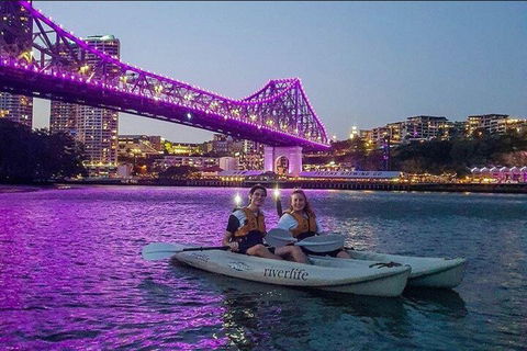 Brisbane Kayak Tour - Holiday Sunshine Coast 4