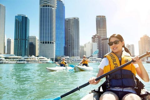 Brisbane Kayak Tour - Holiday Sunshine Coast 5