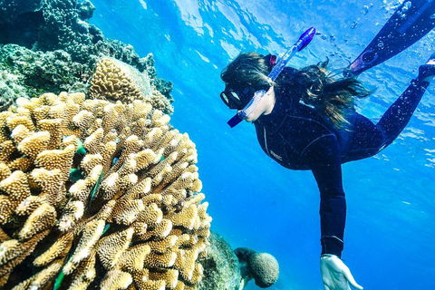 Green Island Day Trip From Cairns - Sunshine Coast Tourism 1