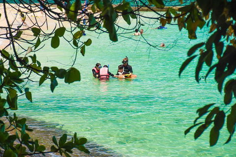 Green Island Day Trip From Cairns - Sunshine Coast Tourism 2