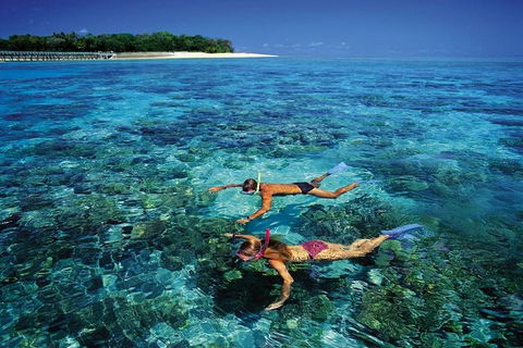 Green Island Day Trip From Cairns - Sunshine Coast Tourism 5