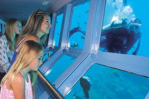 Quicksilver Outer Great Barrier Reef Snorkel Cruise from Palm Cove