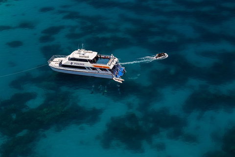 Quicksilver Dive 4 Day PADI Learn To Dive Course - Sunshine Coast Tourism 1