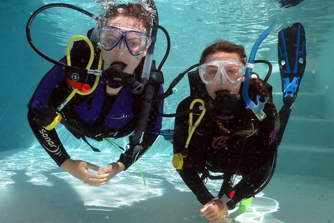 Quicksilver Dive 4 Day PADI Learn To Dive Course - Sunshine Coast Tourism 2