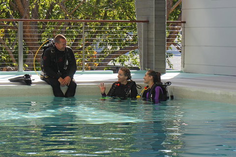 Quicksilver Dive 4 Day PADI Learn To Dive Course - Sunshine Coast Tourism 3