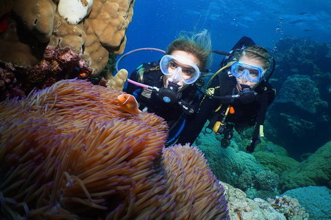 Quicksilver Dive 4 Day PADI Learn To Dive Course - Sunshine Coast Tourism 4