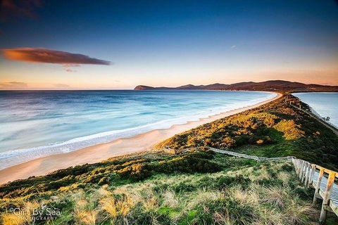Bruny Island Private Charter Service - Sunshine Coast Tourism 0