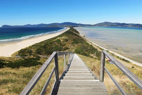 Bruny Island Private Charter Service - Sunshine Coast Tourism 4