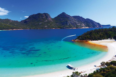Wineglass Bay Private Charter Service - Holiday Sunshine Coast 1