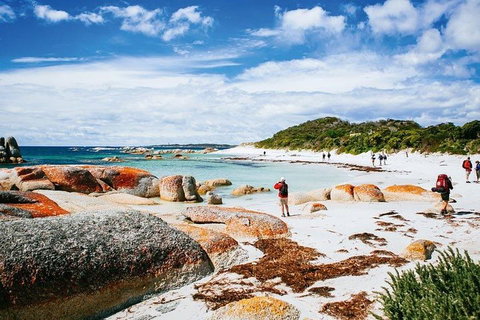 Wineglass Bay Private Charter Service - Holiday Sunshine Coast 3