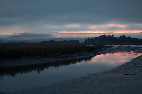 Launceston Private Charter Service - Holiday Sunshine Coast 1