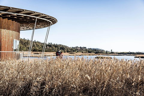 Launceston Private Charter Service - Holiday Sunshine Coast 2