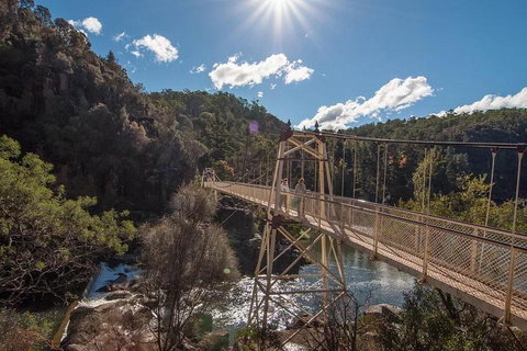 Launceston Private Charter Service - Holiday Sunshine Coast 5