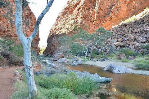 Alice Springs, Uluru Ayers Rock & Kings Canyon 8 Days Touring Package - Holiday Sunshine Coast 2