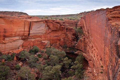 Uluru, Kata Tjuta And Kings Canyon Camping Safari From Ayers Rock - Sunshine Coast Tourism 1
