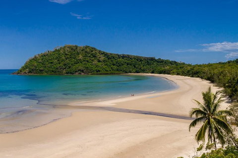 Daintree And Cape Tribulation Tour From Cairns - Sunshine Coast Tourism 1